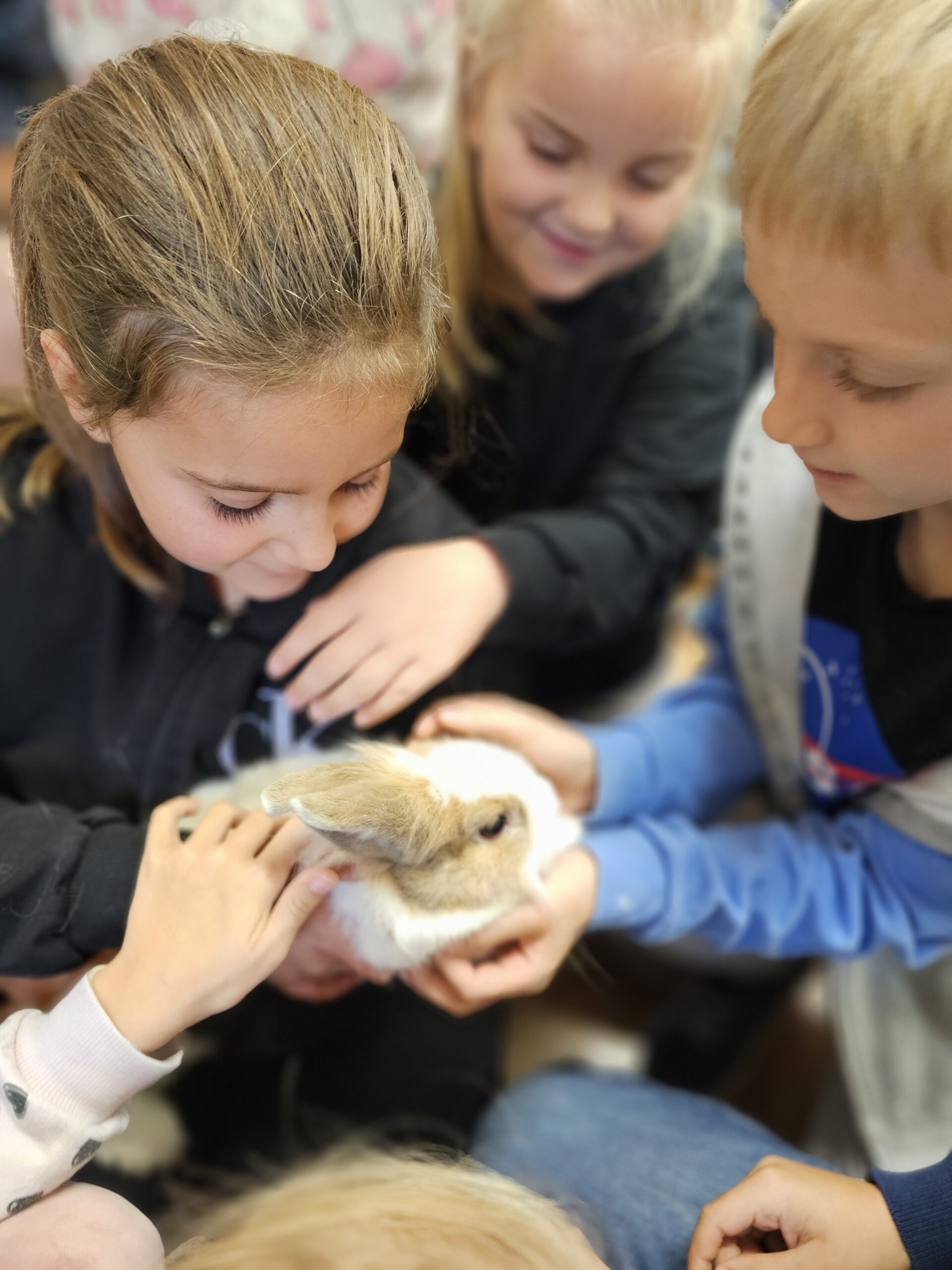 ŚWIATOWY DZIEŃ ZWIERZĄT W KLASIE IIB