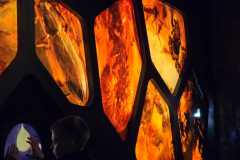 IMG-20250525-WA0659