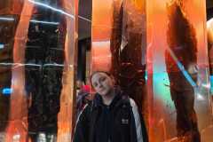 IMG-20250525-WA0671