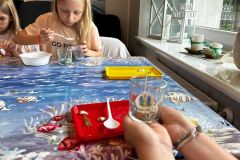 IMG-20250617-WA0014