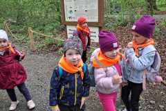 IMG-20260506-WA0014