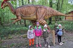 IMG-20260506-WA0017