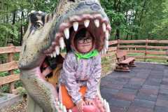 IMG-20260506-WA0019