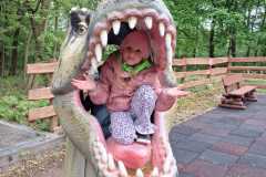 IMG-20260506-WA0022