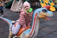 IMG-20260506-WA0023