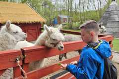 IMG-20260507-WA0006