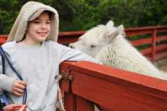 IMG-20260507-WA0007