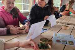 IMG-20260507-WA0015