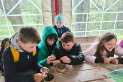 IMG-20260507-WA0066