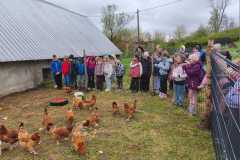 IMG-20260507-WA0204