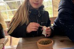 IMG-20260507-WA0228