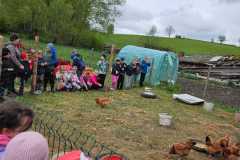 IMG-20260507-WA0249