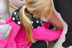 IMG-20260507-WA0256
