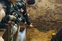 IMG-20260507-WA0278