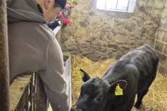 IMG-20260508-WA0071
