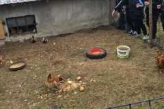 IMG-20260508-WA0133