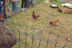 IMG-20260508-WA0153