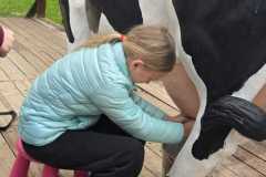 IMG-20260508-WA0183