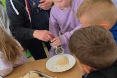 IMG-20250429-WA0020