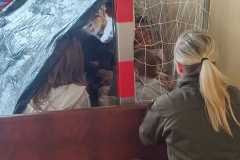 IMG-20260519-WA0058