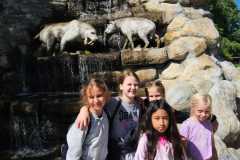 IMG-20260614-WA0004