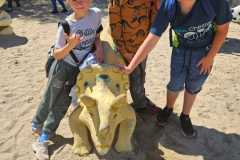 IMG-20260614-WA0010