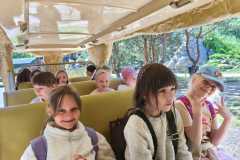 IMG-20260615-WA0012