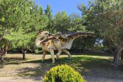IMG-20260615-WA0017