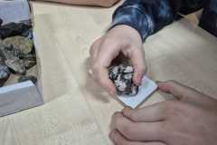 IMG-20251126-WA0014