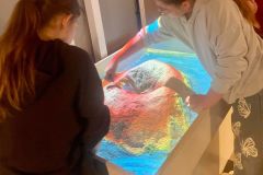 WhatsApp-Image-2026-04-23-at-17.47.51