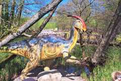 IMG-20250507-WA0061