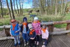 IMG-20250507-WA0068