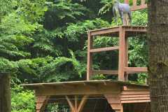IMG-20250626-WA0063