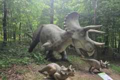 IMG-20250626-WA0083