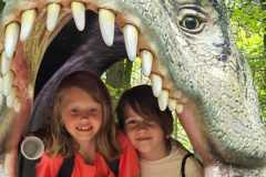 IMG-20250626-WA0099