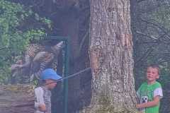 IMG-20250626-WA0127