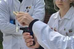 IMG-20250525-WA0543