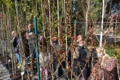 IMG-20260504-WA0001