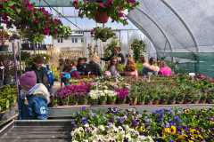 IMG-20260504-WA0002