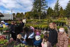 IMG-20260504-WA0004