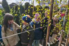 IMG-20260504-WA0007
