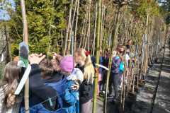 IMG-20260504-WA0008