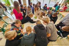 IMG-20251009-WA0006