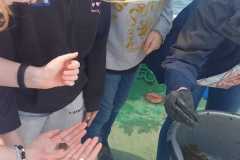 IMG-20250611-WA0155