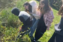 IMG-20250506-WA0052