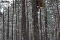 IMG-20260221-WA0053