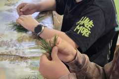 IMG-20260221-WA0068
