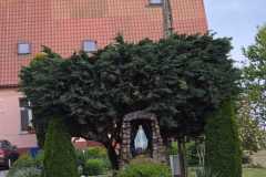 IMG-20250611-WA0070