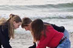 IMG-20250611-WA0091