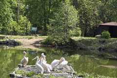 IMG-20250611-WA0054
